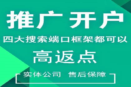 竞价排名在电商行业的实战案例